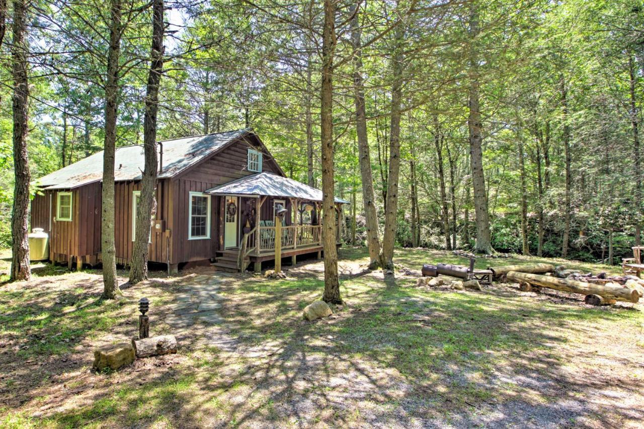 Clearwater Cabin On 10 Acres With Trout Stream! Monterey Exterior photo